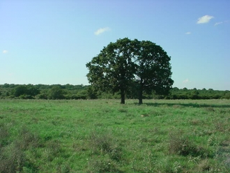 FM 575 at CR 237 (2)