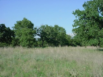 FM 575 at CR 237 (3)