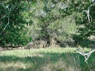 FM 575 at CR 237 (5)