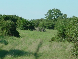 FM 575 at CR 237 (4)