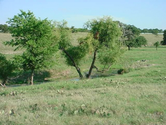 FM 575 at CR 237 (6)