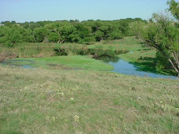 FM 575 at CR 237